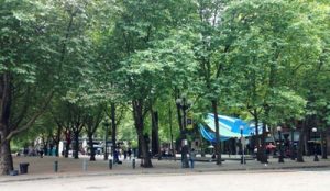 Occidental Park in Pioneer Square